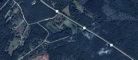 tbd Davis #LOT 31, Livingston, TX 77351