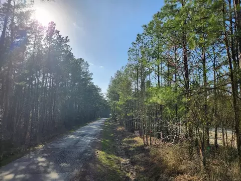 1039 Counts Rd, Point Blank, TX 77364 photo 1