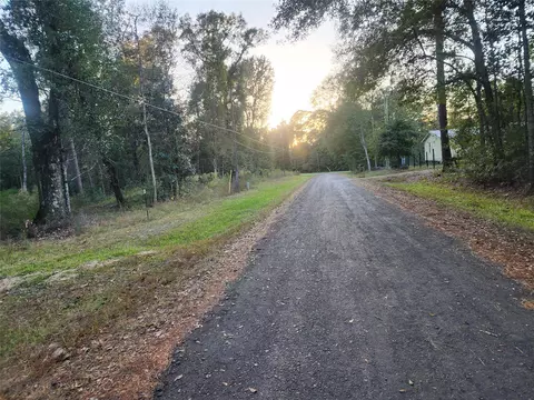 0 Dottie Ln, Shepherd, TX 77371