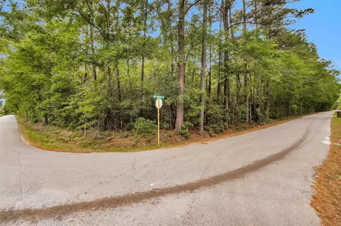 15711 Tree Monkey Rd, Conroe, TX 77303 photo 3