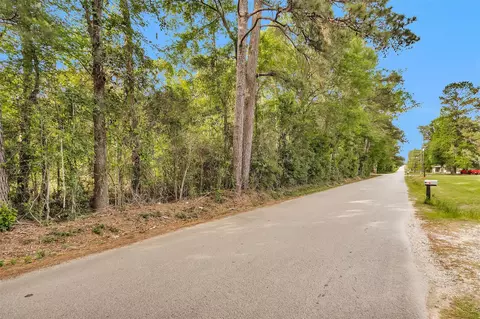 15711 Tree Monkey Rd, Conroe, TX 77303 photo 4
