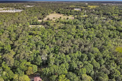 15711 Tree Monkey Rd, Conroe, TX 77303 photo 7