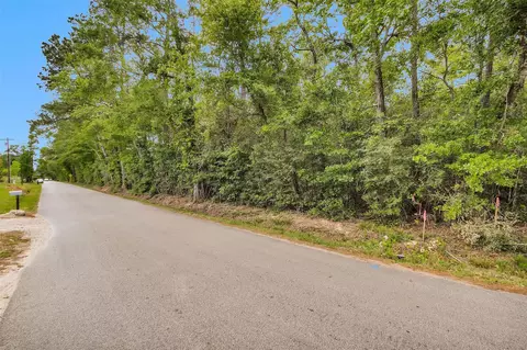 15711 Tree Monkey Rd, Conroe, TX 77303 photo 5