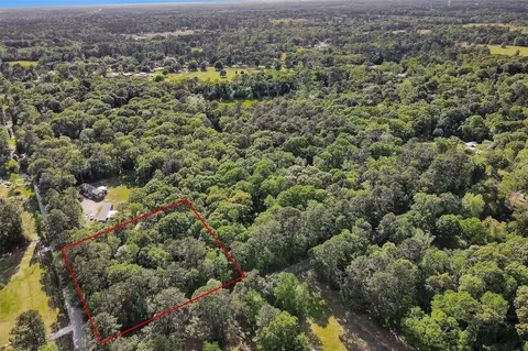 15711 Tree Monkey Rd, Conroe, TX 77303