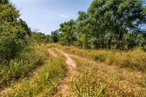 tbd Smith Rd, Bastrop, TX 78602 photo 16