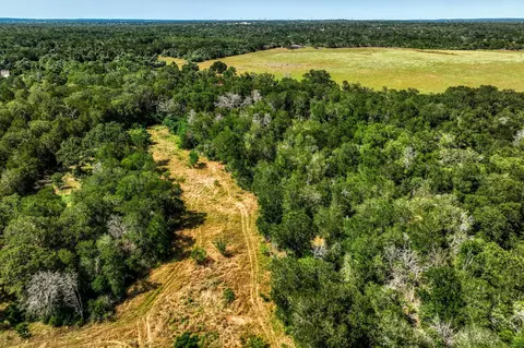 tbd Smith Rd, Bastrop, TX 78602 photo 34