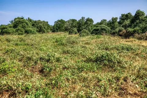 tbd Smith Rd, Bastrop, TX 78602 photo 24