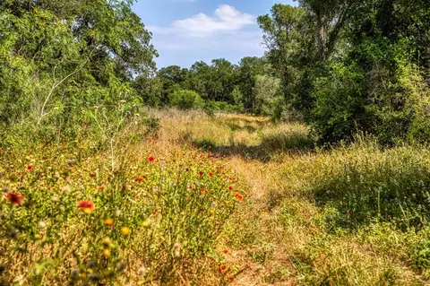 tbd Smith Rd, Bastrop, TX 78602 photo 17