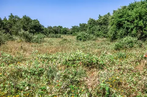 tbd Smith Rd, Bastrop, TX 78602 photo 23