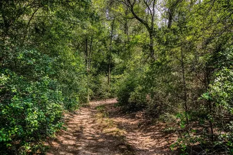 tbd Smith Rd, Bastrop, TX 78602 photo 15