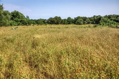tbd Smith Rd, Bastrop, TX 78602 photo 19