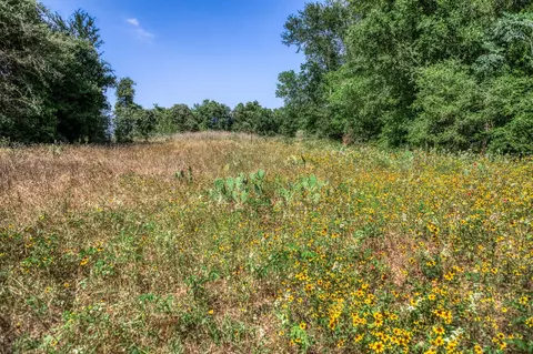 tbd Smith Rd, Bastrop, TX 78602 photo 21