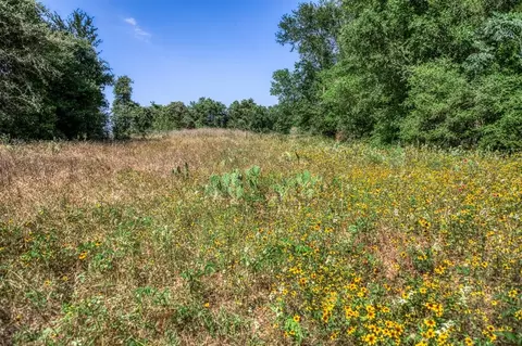 tbd Smith Rd, Bastrop, TX 78602 photo 21