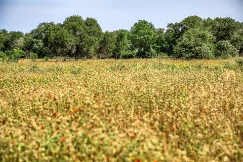 tbd Smith Rd, Bastrop, TX 78602 photo 20