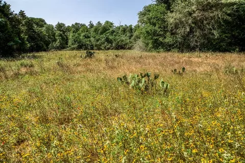 tbd Smith Rd, Bastrop, TX 78602 photo 22