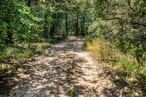 tbd Smith Rd, Bastrop, TX 78602 photo 13