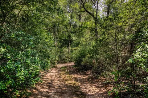 tbd Smith Rd, Bastrop, TX 78602 photo 15