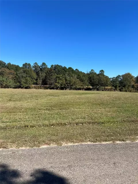 lot3 Lake Livingston Ln, Trinity, TX 75862 photo 10