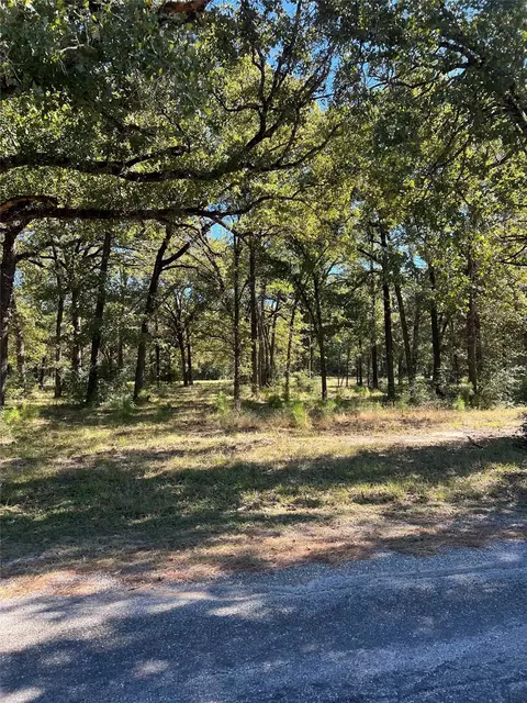 lot3 Lake Livingston Ln, Trinity, TX 75862 photo 7