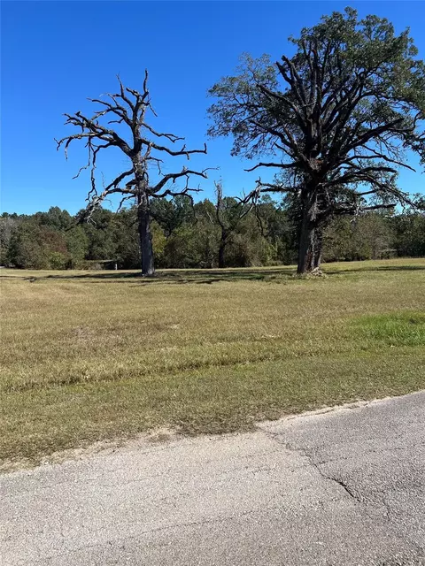 lot3 Lake Livingston Ln, Trinity, TX 75862 photo 9