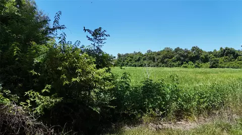 tbd County Road 42, Rosharon, TX 77583