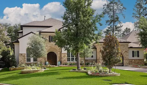 6 Paloma Bend Pl, The Woodlands, TX 77389