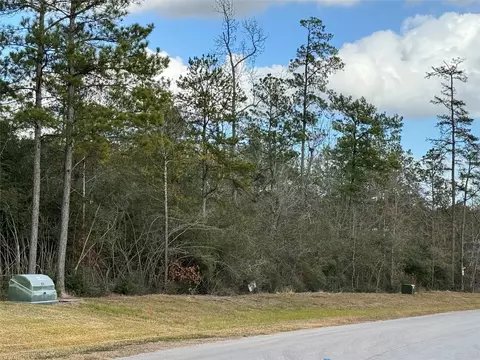 10693 Ruger Rd, Willis, TX 77378 photo 4