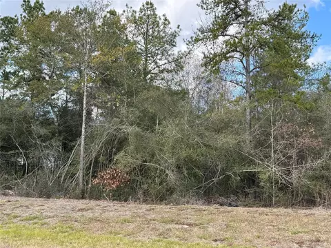 10693 Ruger Rd, Willis, TX 77378 photo 5