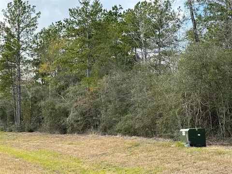 10693 Ruger Rd, Willis, TX 77378 photo 6