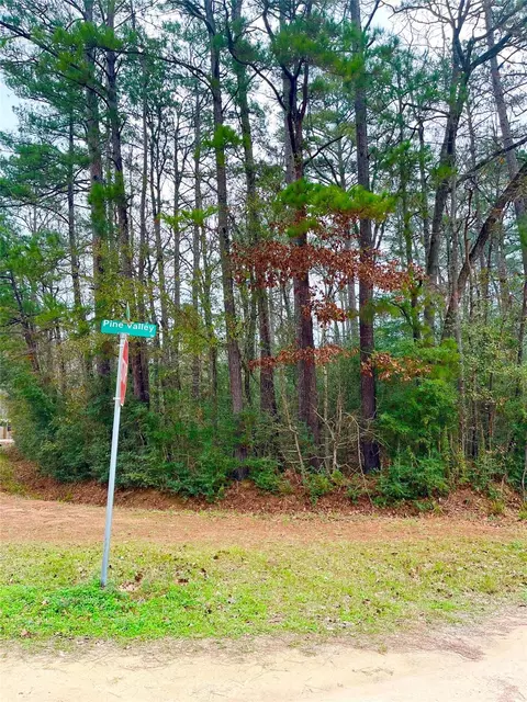tbd Pine Valley Dr, Shepherd, TX 77371 photo 2