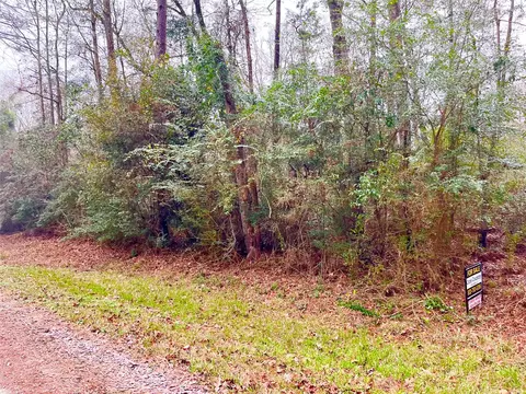 tbd Pine Valley Dr, Shepherd, TX 77371 photo 3