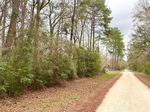tbd Pine Valley Dr, Shepherd, TX 77371