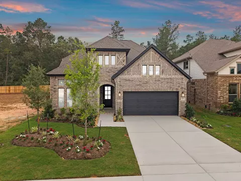 26147 Treetop Terrace Ln, Montgomery, TX 77316
