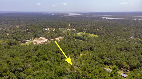 View/Area - 250 Red Bird Ln, Trinity, TX 75862 photo 2 of 3