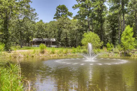 Other - 250 Red Bird Ln, Trinity, TX 75862 photo 12 of 15