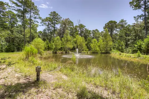 View/Area - 250 Red Bird Ln, Trinity, TX 75862 photo 1 of 3