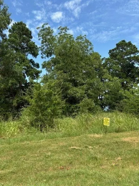 1867 Fm-3186, Onalaska, TX 77360