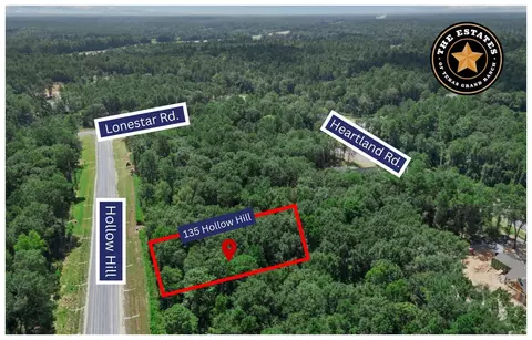 135 Hollow Hill Dr, New Waverly, TX 77358