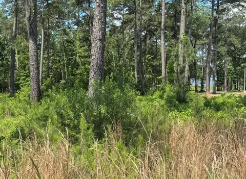017 Private Road 6028, Brookeland, TX 75931