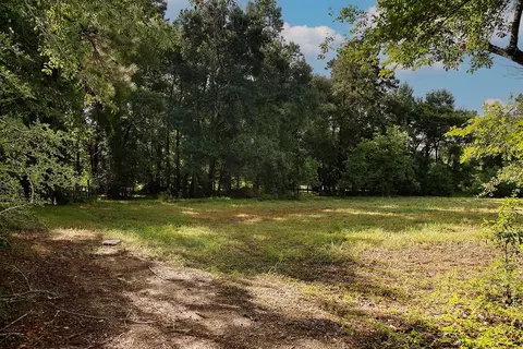 25126 Gosling Rd, Spring, TX 77389 photo 12
