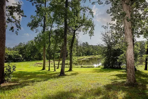 25126 Gosling Rd, Spring, TX 77389 photo 4