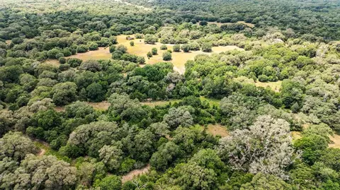 tbd Cr 215, Weimar, TX 78962 photo 2