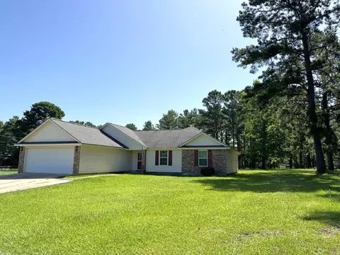 Exterior - 2910 Hwy 69, Doucette, TX 75942 photo 3 of 16