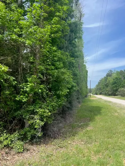 0 Conway Rd, Livingston, TX 77351
