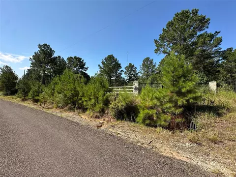 1034 Lloyd Bell Rd, Trinity, TX 75862 photo 4