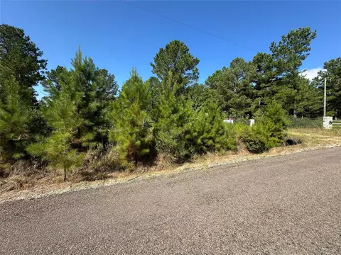 1034 Lloyd Bell Rd, Trinity, TX 75862 photo 9