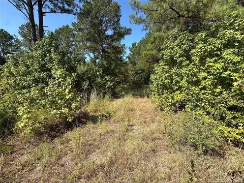 1034 Lloyd Bell Rd, Trinity, TX 75862 photo 11