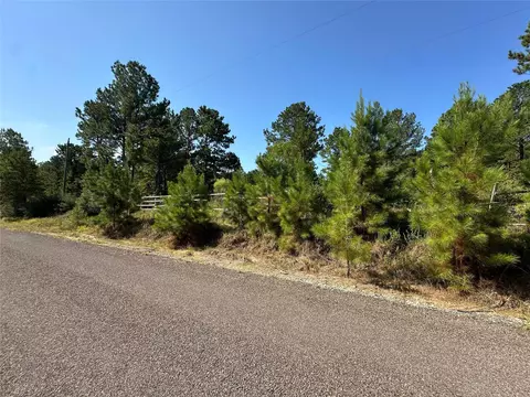 1034 Lloyd Bell Rd, Trinity, TX 75862 photo 10