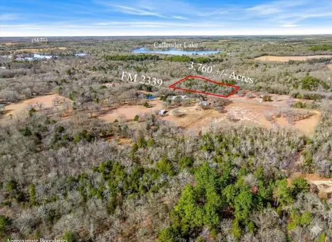 lot202122 Fm 2339 Callender Lake X, Murchison, TX 75778