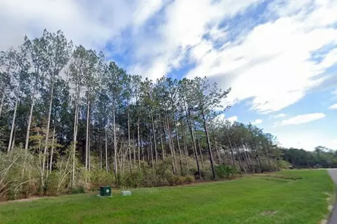 16010 Forest Mill Rd, Willis, TX 77378 photo 3